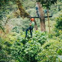 Canopy Tour