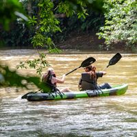 Kayak Tour
