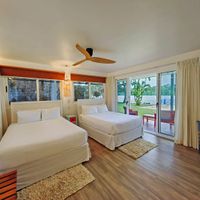 Papi Brown Suite