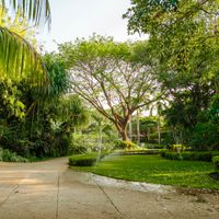 Gardens