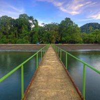Pier