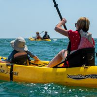 Ocean Kayaking