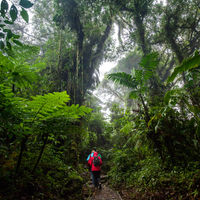 Santa Elena Reserve Tour