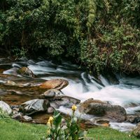 Savegre River