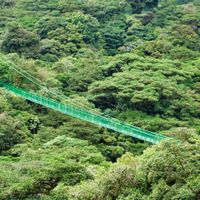 Hanging Bridges