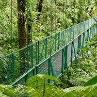 Hanging Bridges