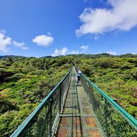 Hanging Bridges