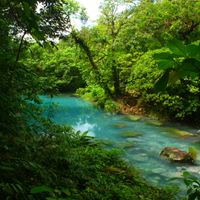 Tenorio Volcano National Park - Rio Celeste