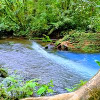 Tenorio Volcano National Park - Rio Celeste