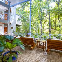 Terrace and forest View