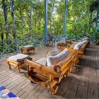 Terrace View