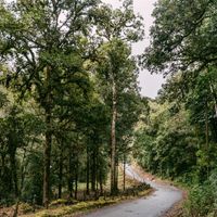 Road