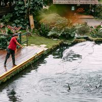 Fishing