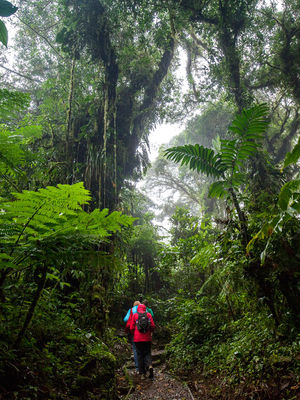 Santa Elena Reserve