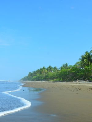 Dominical