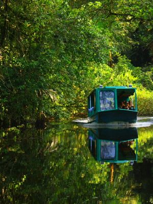 Tortuguero