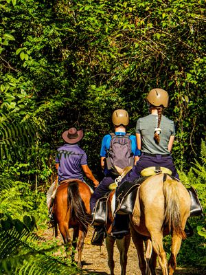 Family Adventure 