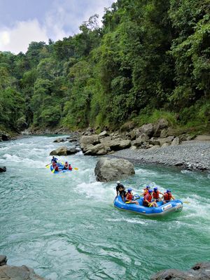 Adventure in the Tropics