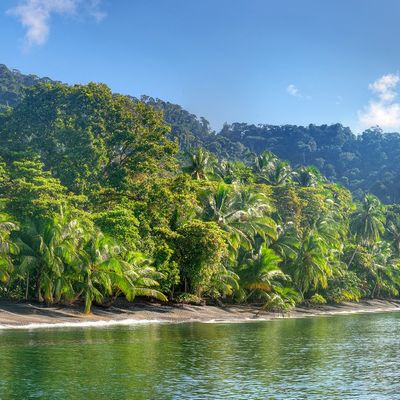 Playa Nicuesa Rainforest Lodge