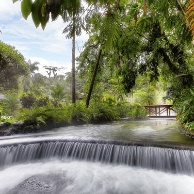 Tabacon Thermal Resort & Spa