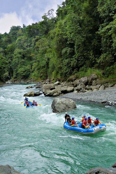 Adventure in the Tropics
