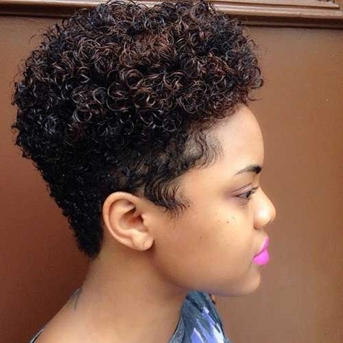 Cute Thick Short Afro Hairstyle for African American Women