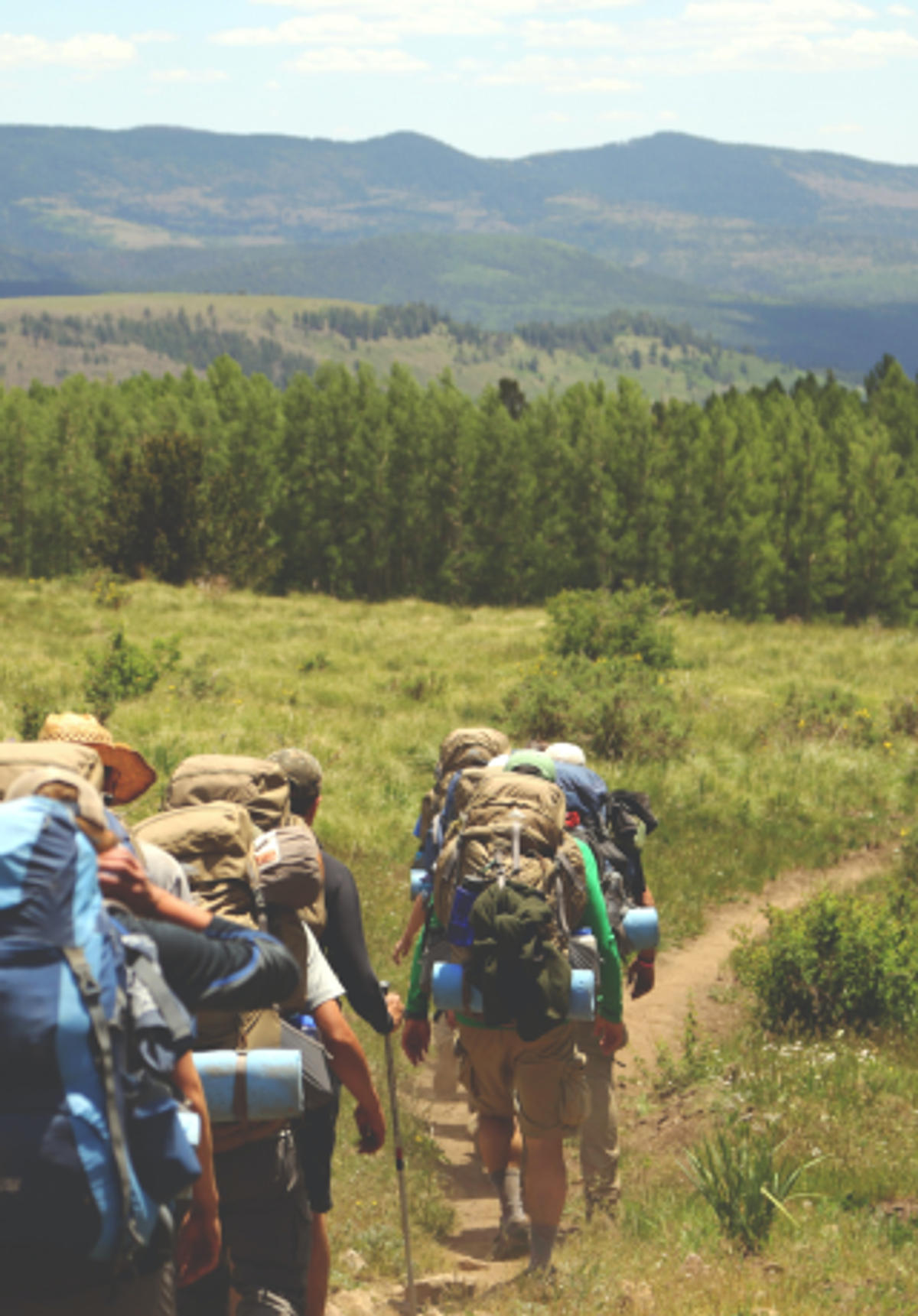 page-banner