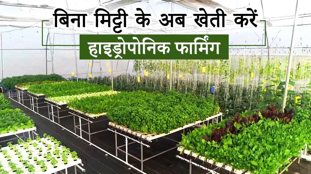 खेत नहीं है फिर भी आप कर सकते हैं खेती, जानें क्या है ये नई तकनीक