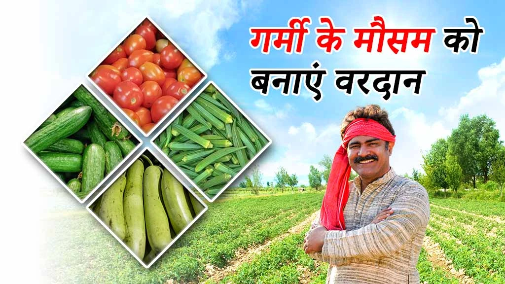 गर्मी का मौसम साबित होगा वरदान, अगर करेंगे आप ये काम