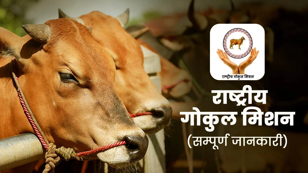 राष्ट्रीय गोकुल मिशन: जानें उद्देश्य एवं मिलने वाले लाभ