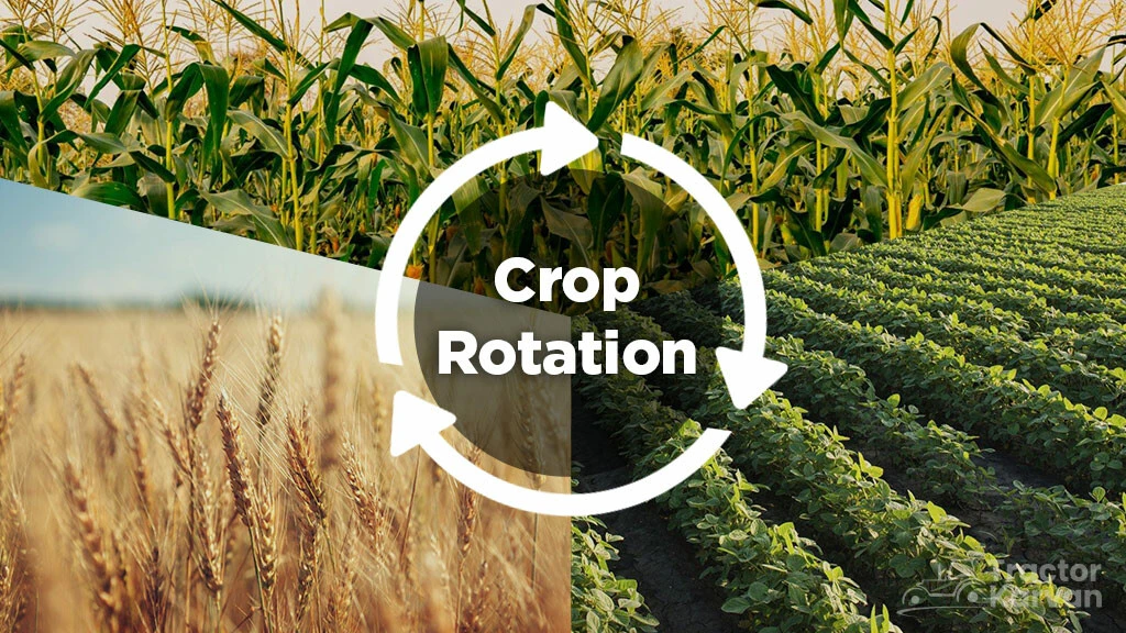 Crop Rotation Method for Sustainable Agriculture in India