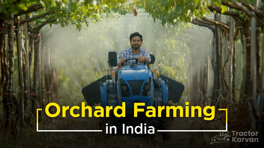 Profitable Orchard Farming in India: Crop Selection & Best Practices