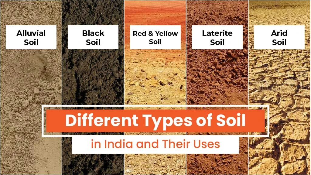 Different Types of Soil in India and their Characteristics