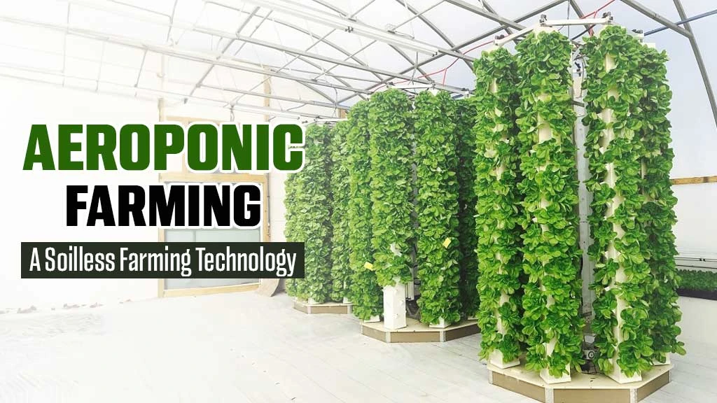 Aeroponic Farming: A Soilless Farming Technology