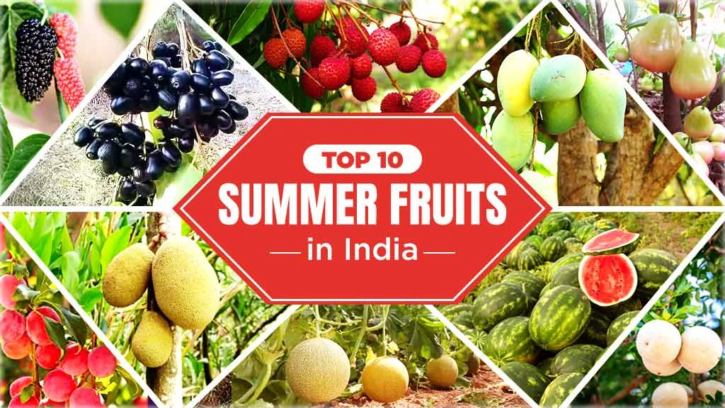 Top 10 Refreshing Summer Fruits Grown in India