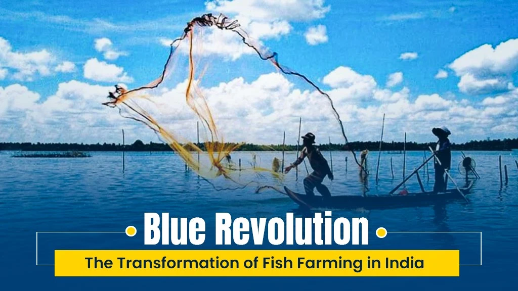 Blue Revolution: The Transformation of Fish Farming in India