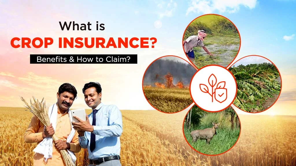 What is Crop Insurance – Benefits & How to Claim?