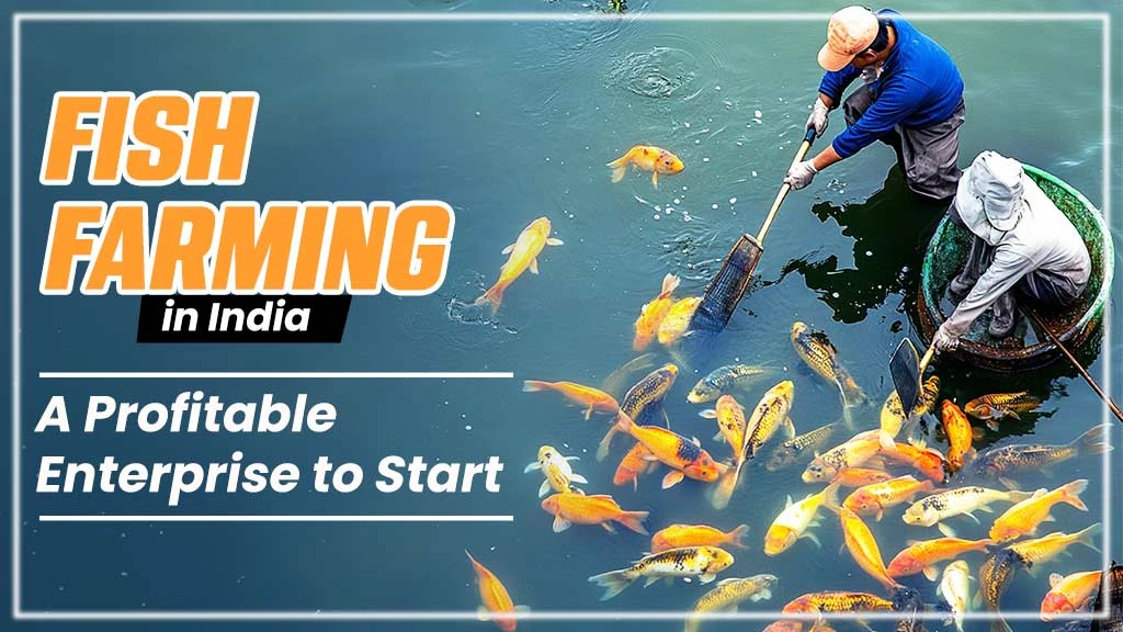 Fish Farming in India: A Profitable Enterprise to Start