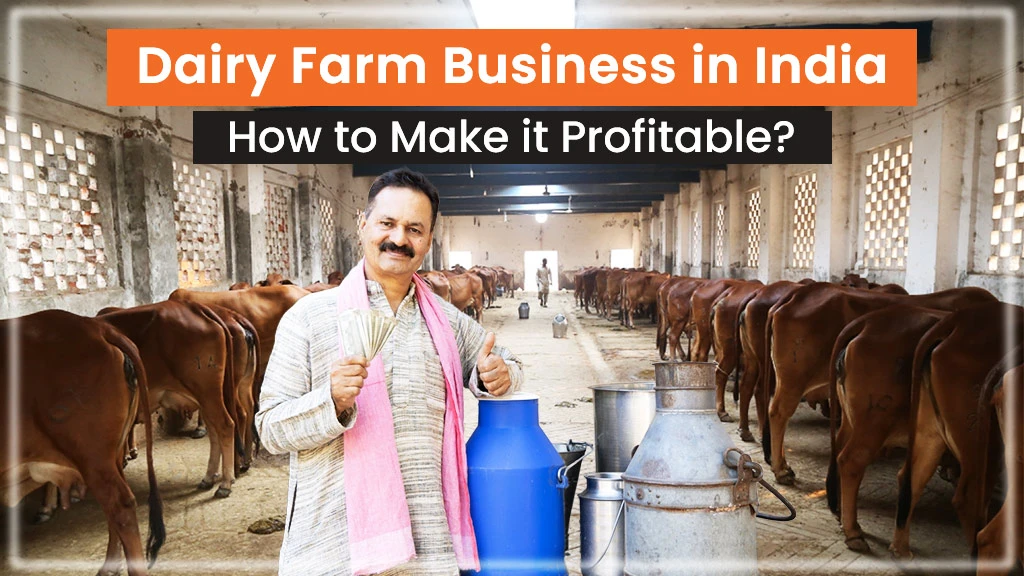How to Start a Dairy Farm Business in India: A Beginners Guide