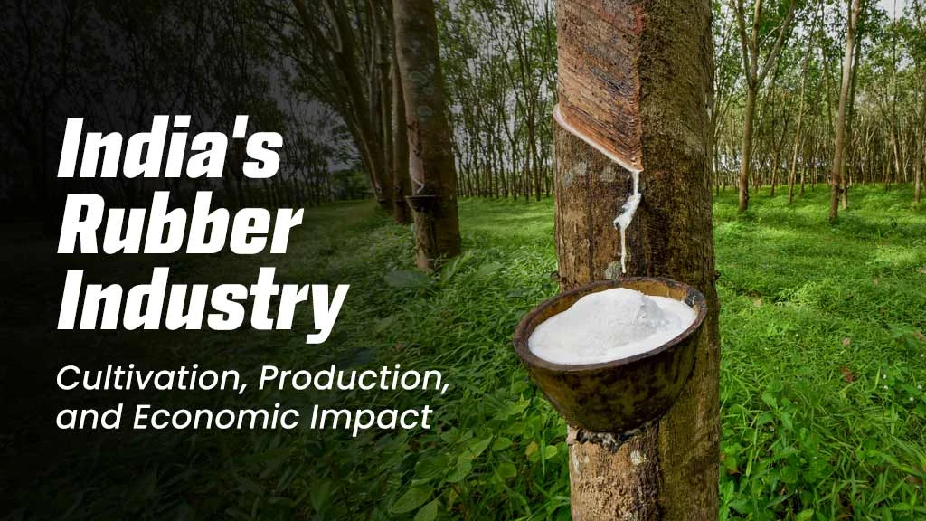 India's Rubber Industry: Cultivation, Production, and Economic Impact