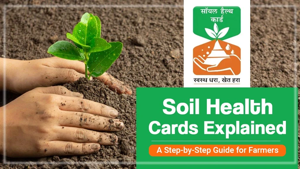 Soil Health Cards Explained: A Step-by-Step Guide for Farmers