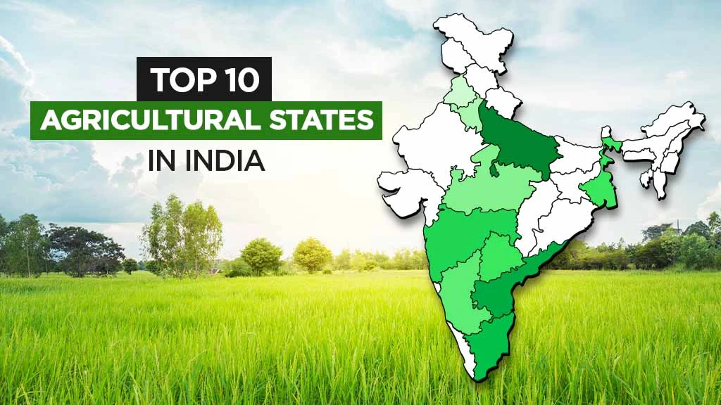 Top 10 Agricultural States in India: Production-wise List