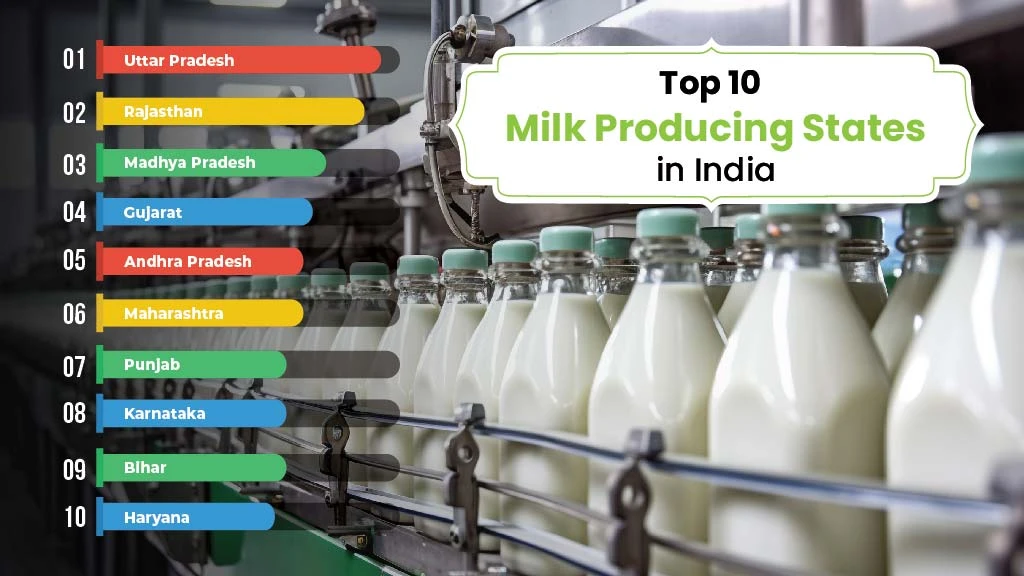 Top 10 Milk Producing States in India 2025