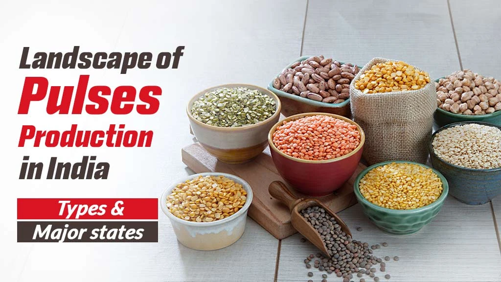 Landscape of Pulses production in India: Types & Major states