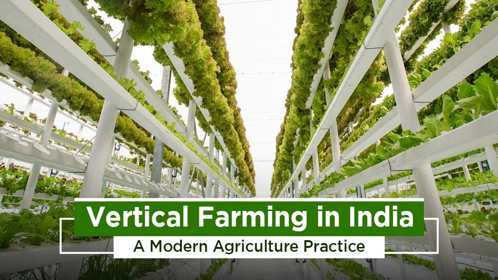 Growing Crops through Vertical Farming: A Modern Agriculture Practice