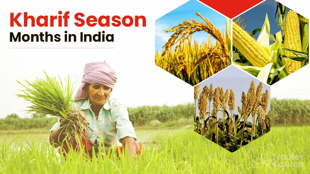 Kharif Season Months in India: Importance, Crop Grown and Contributing Factors