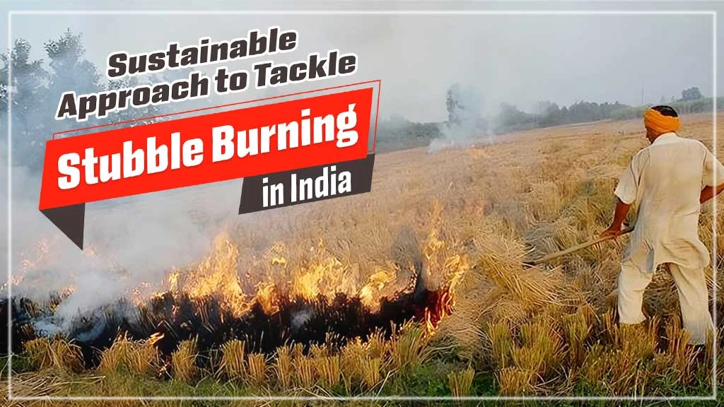 Sustainable Approach to Tackle Stubble Burning in India