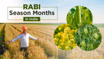 Rabi Season Months in India - Crops Grown & Importance Article