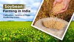 Soybean Farming in India: Cultivation, Varieties & Major Producing States Article