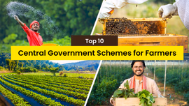 Top 10 Government Schemes for Agriculture in India in 2025